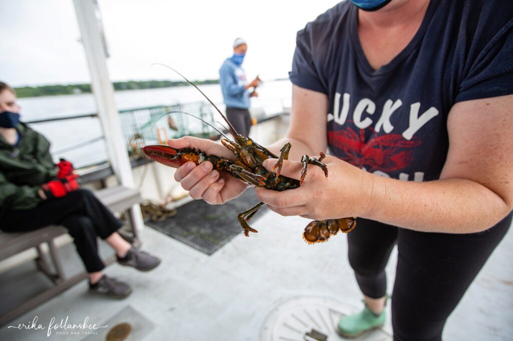 Lobster Boat Excursion | Lucky Catch Cruises Portland, Maine