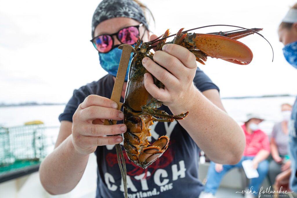 Lobster Boat Excursion | Lucky Catch Cruises Portland, Maine