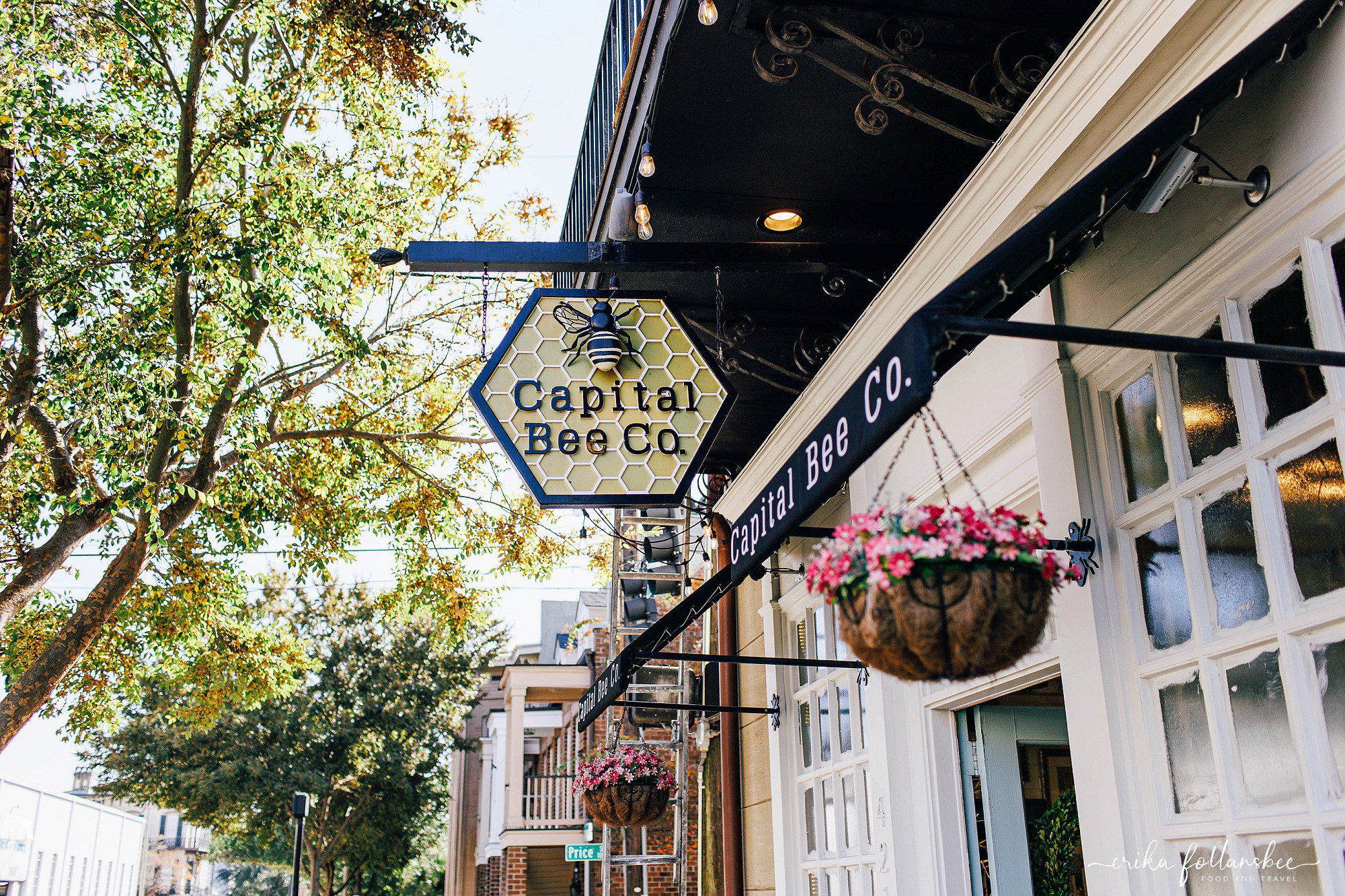 savannah food tours