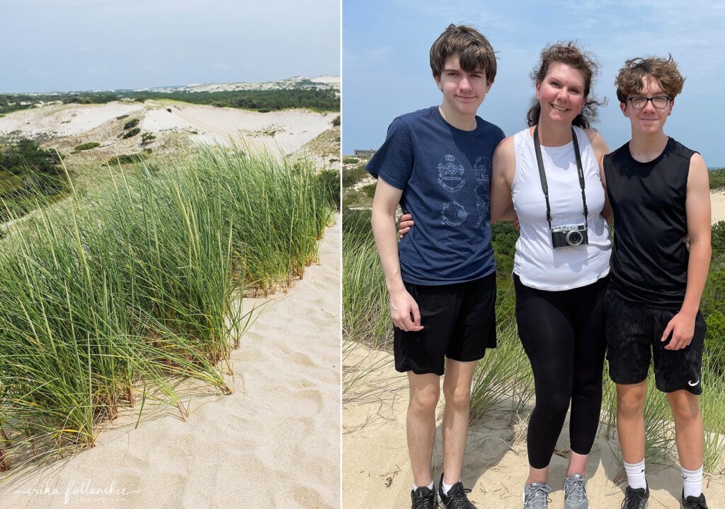 Art's Dune Tours | Provincetown MA Things to Do