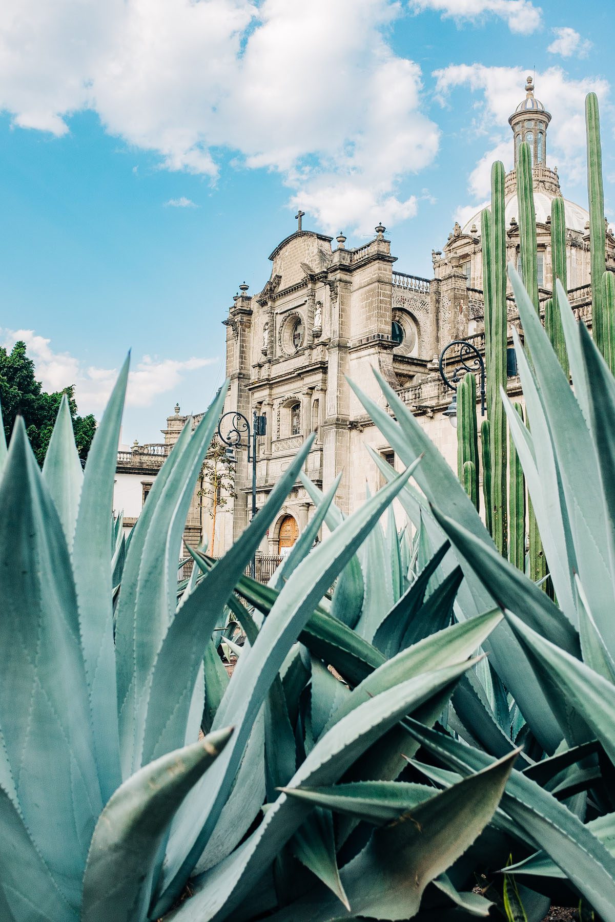 Mexico City | NH Travel & Food Photographer