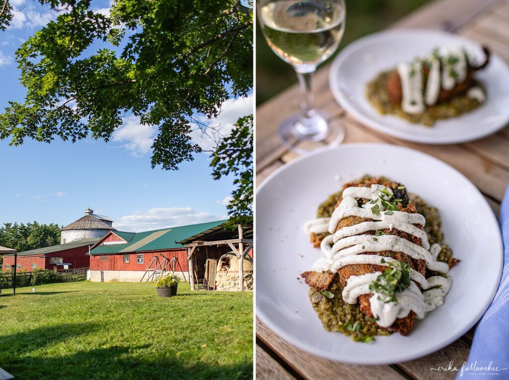 Hilltop Cafe Wilton NH Restaurant | Outdoor Summer dining | Erika Follansbee Photographer